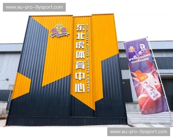 体育视频伤停报告——重新定义你的观赛体验